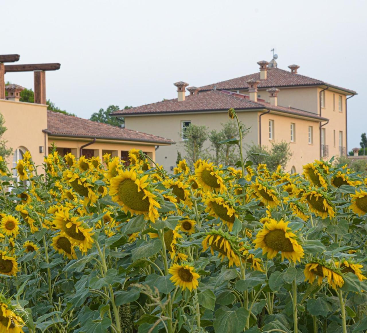 Agriturismo Villa Toscana 캄필리아 마리티마 외부 사진
