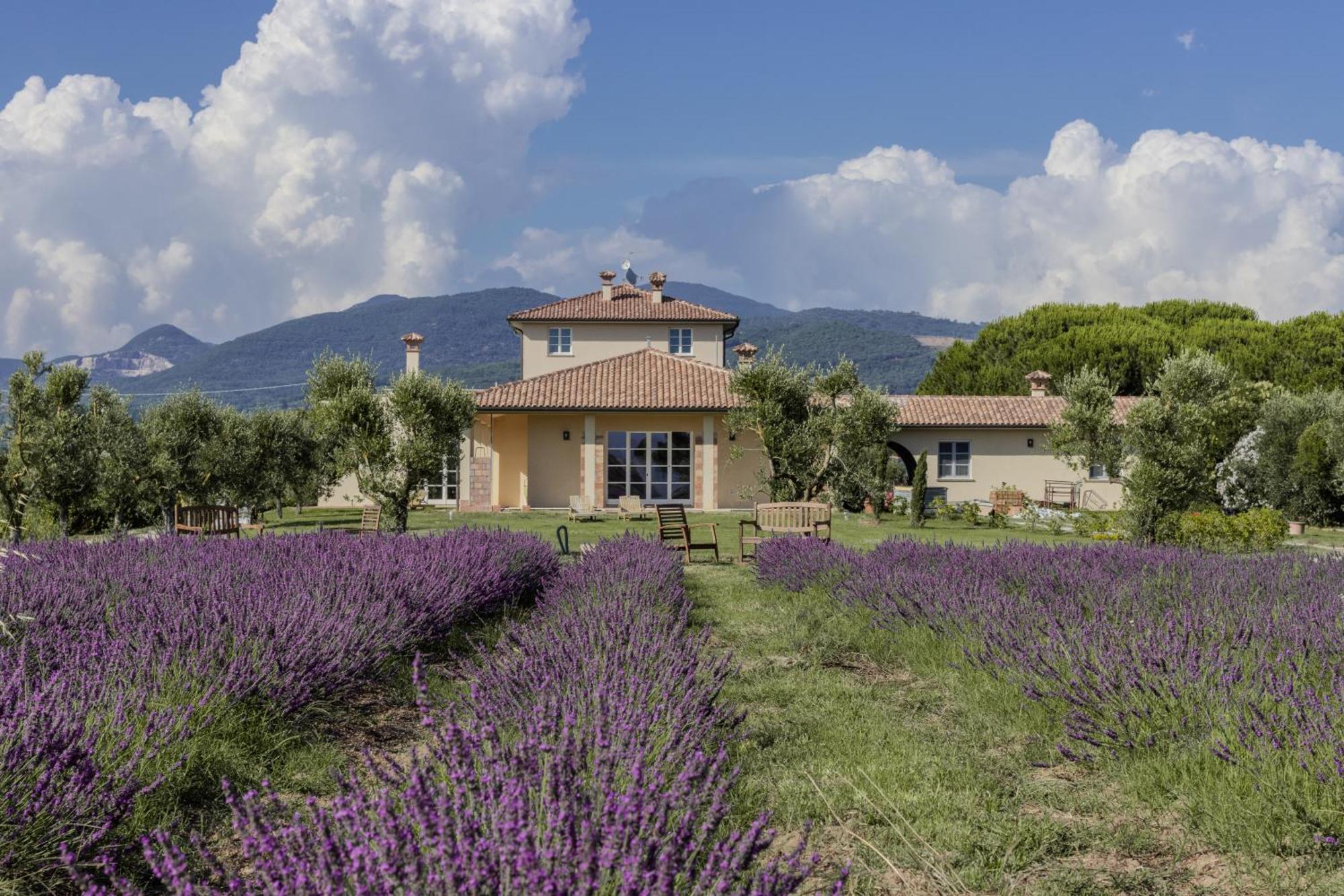 Agriturismo Villa Toscana 캄필리아 마리티마 외부 사진